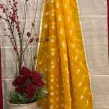 Embroidered organza dupatta