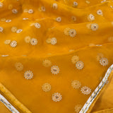 Embroidered organza dupatta