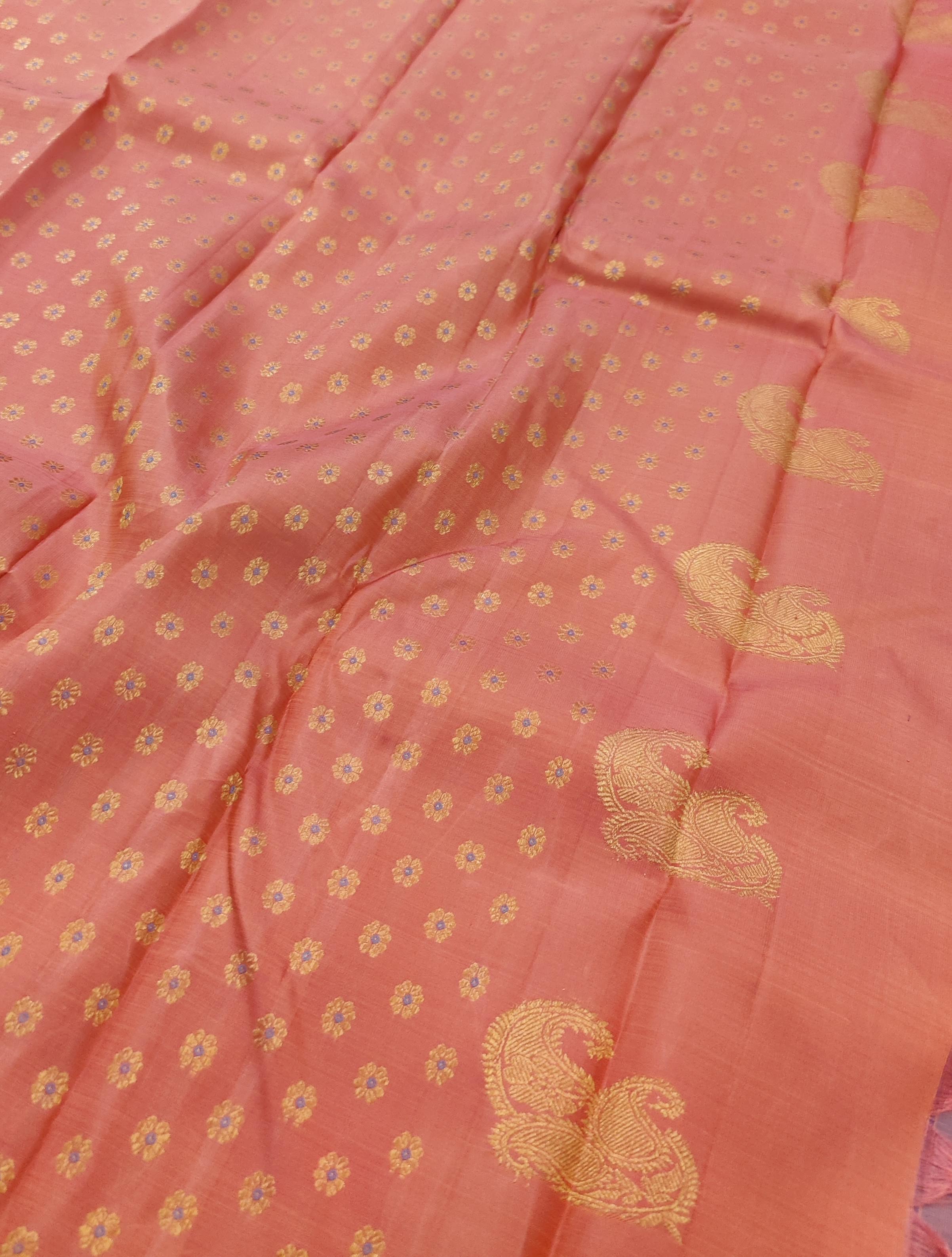 Ranya meenakari kanchipuram silk saree