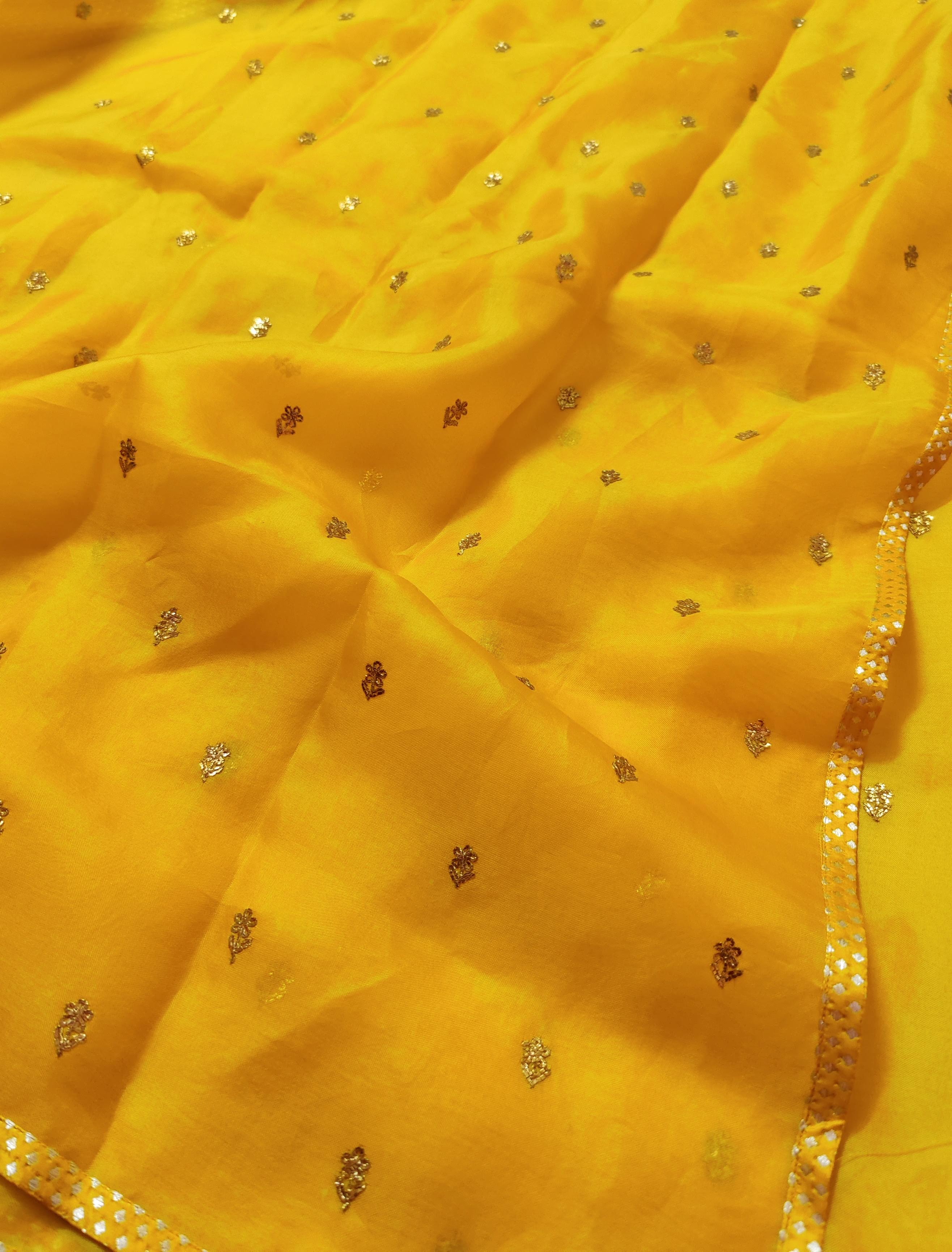 Kalavati embroidered organza saree