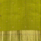Charita Pistachio Glow Kanchipuram Silk Saree