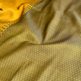 Kalpataru Parakeet Kalamkari Silk Saree - Mustard