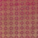 Ranya Bold Harmony Kanchipuram Silk Saree