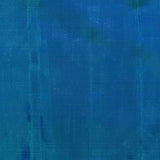 Vera Peacock Plume Kanchipuram Silk Saree