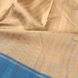 Tejasvi mayil chakram kanchipuram silk saree