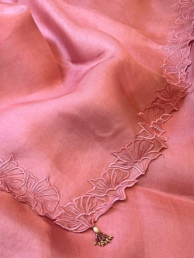 Embroidered organza saree