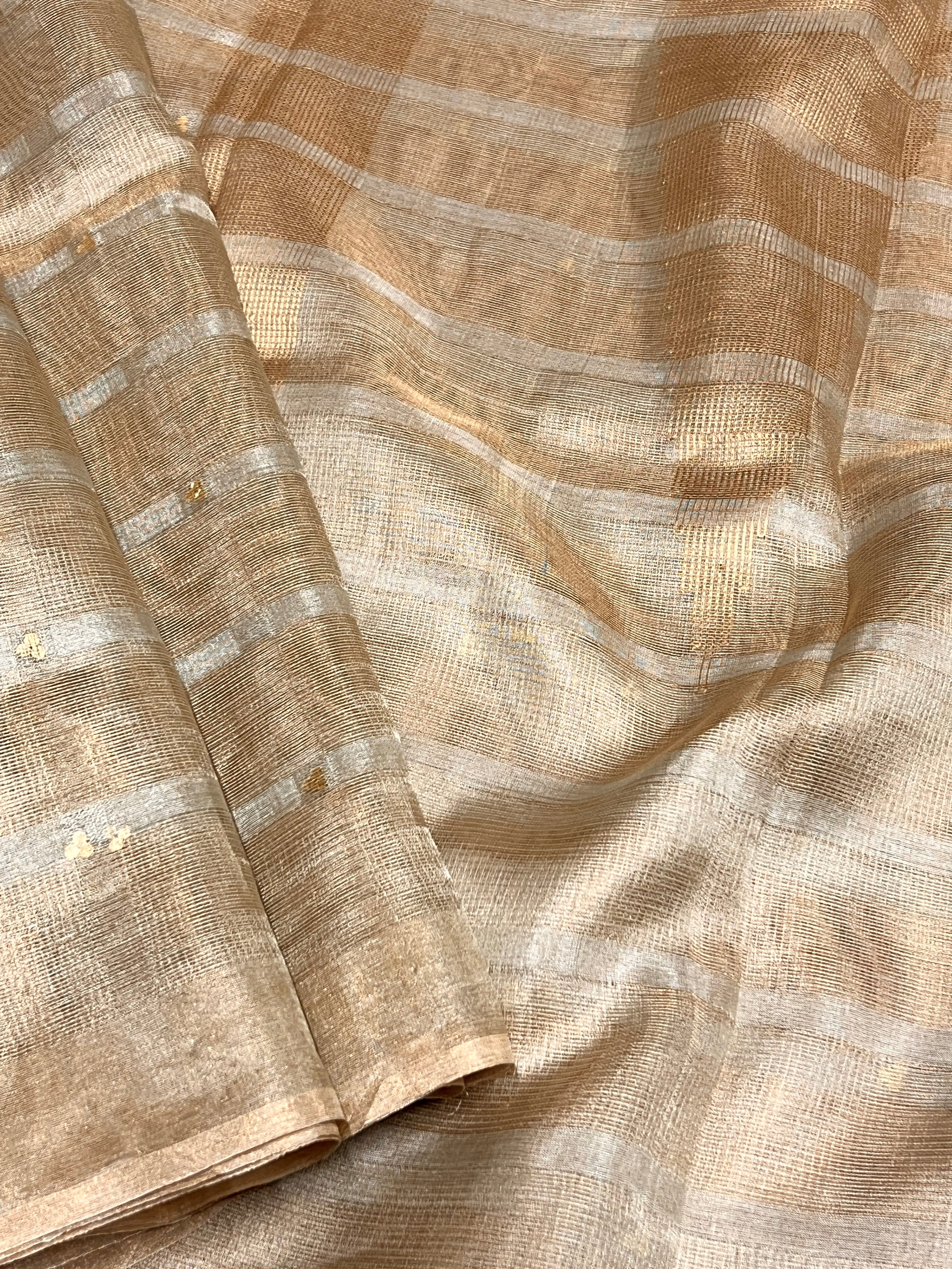 Gold and silver tissue saree