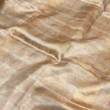 Gold and silver tissue saree