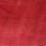 Veena Contrast Border Tussar Saree