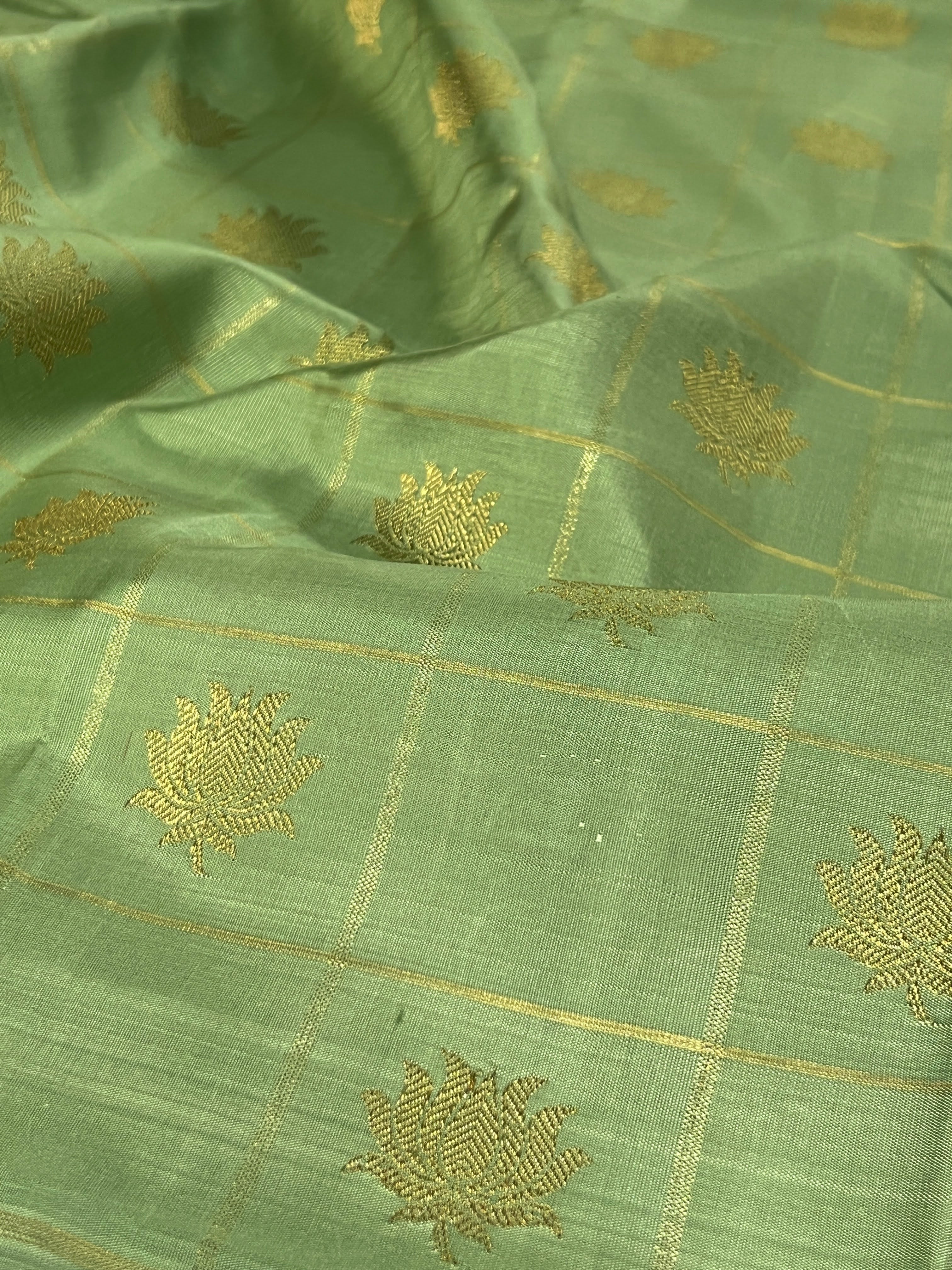 Charita boxed lotus kanchipuram silk saree