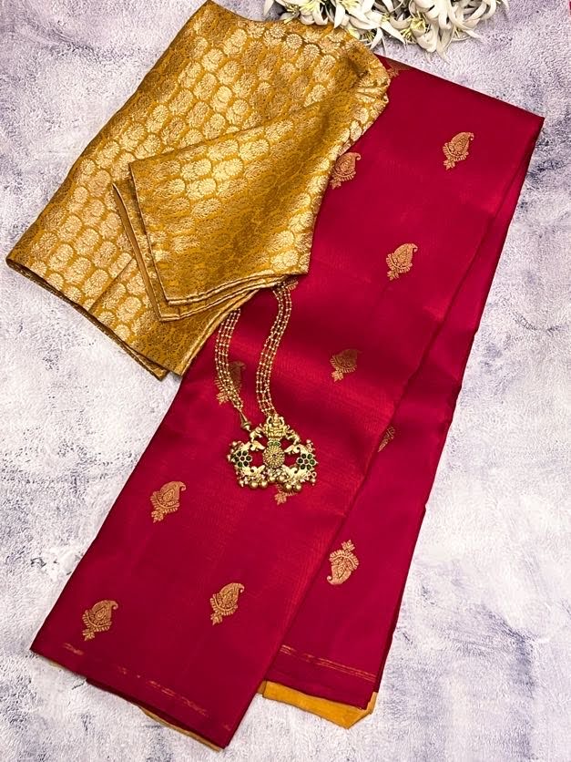 Vera paisley kanchipuram silk saree