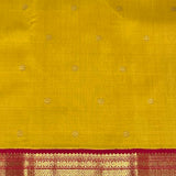 Mohana Amber Glow Kanchipuram Silk Saree