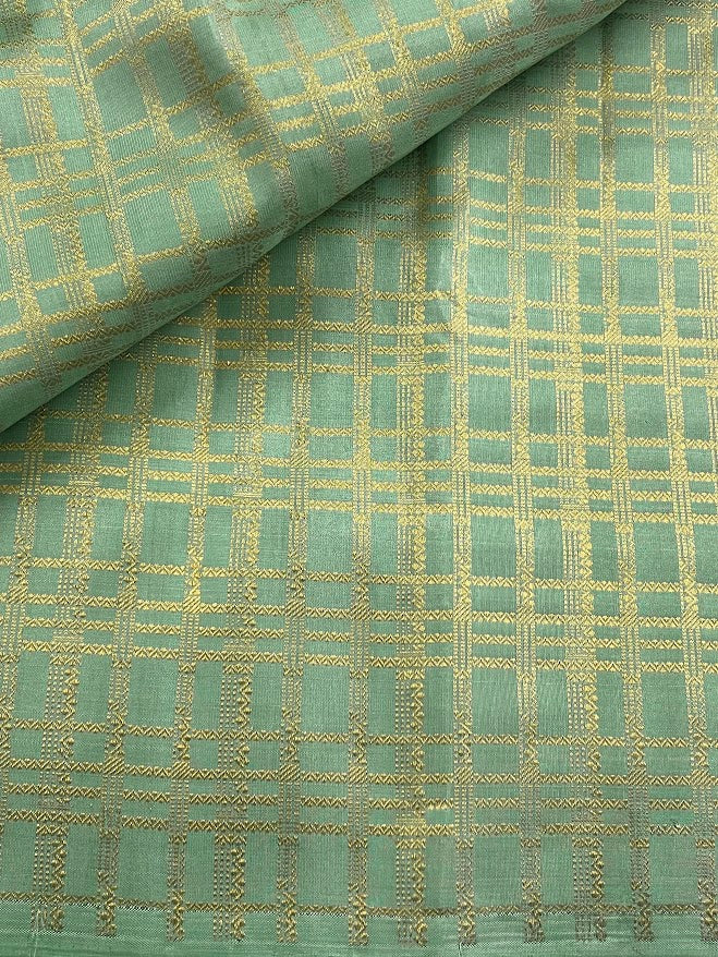 Ornate checked kanchipuram silk fabric