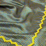 Jugal Pinwheel Silk Saree