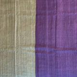 Colour blocked tussar saree