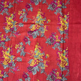 Veena Long Border Tussar Saree