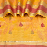Mila Foliage Thread Woven Border Silk Saree