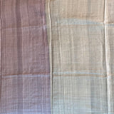 Colour blocked tussar saree