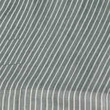 Veena Woven Border Tussar Saree