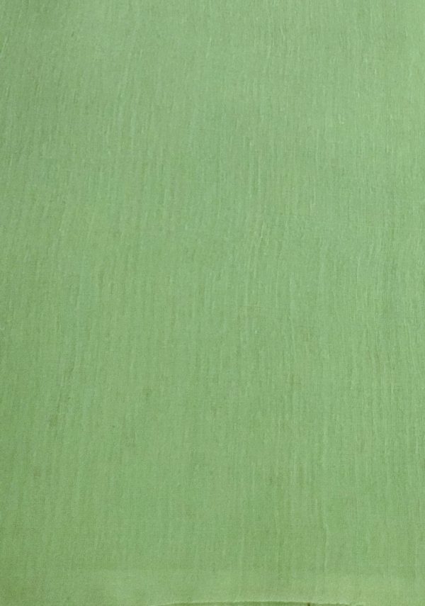 Mint green organza saree with sequins (1)